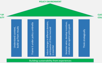 Learning from original Good Practices: Core elements of sustainability